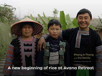 A new beginning of rice at Avana Retreat